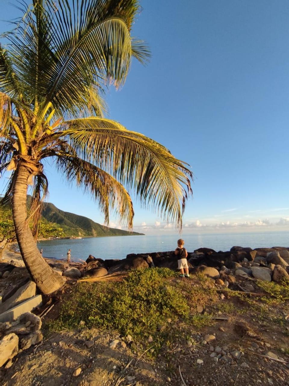 Kaz A Soley - Gite Vue Panoramique Sur La Mer - Plage A 500M Gourbeyre Экстерьер фото